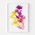 Multi-Coloured Orchids Art Print Set